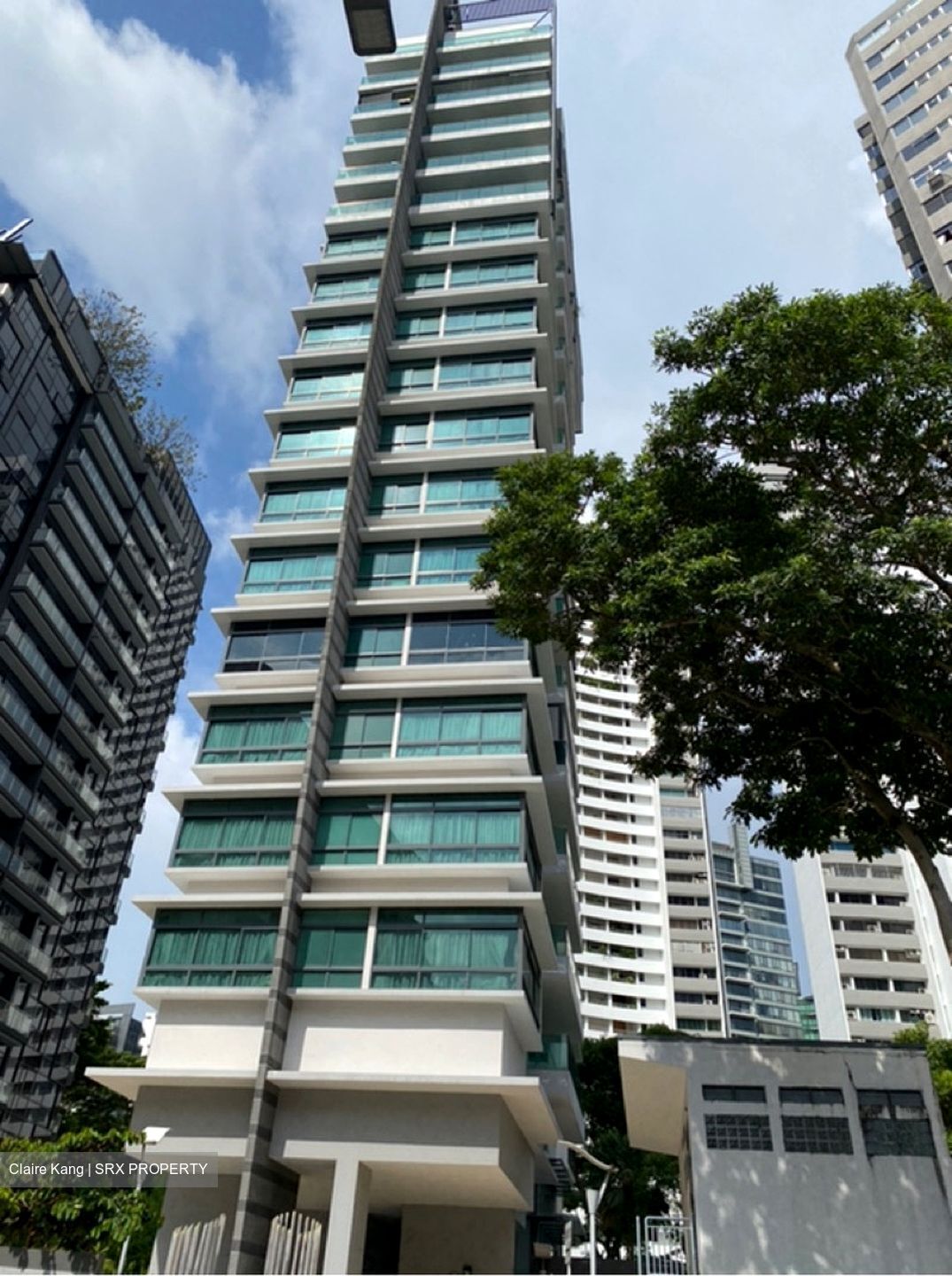 Rhapsody On Mount Elizabeth (D9), Apartment #389466141